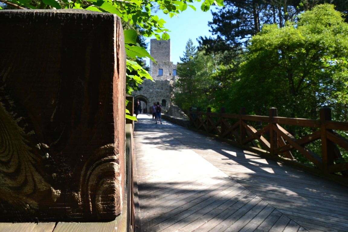 DSC_0051.jpg