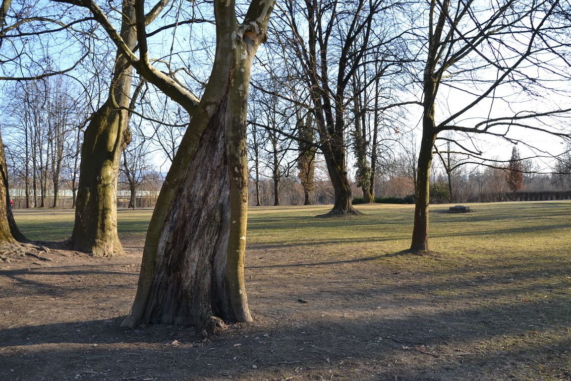 DSC_0053.jpg