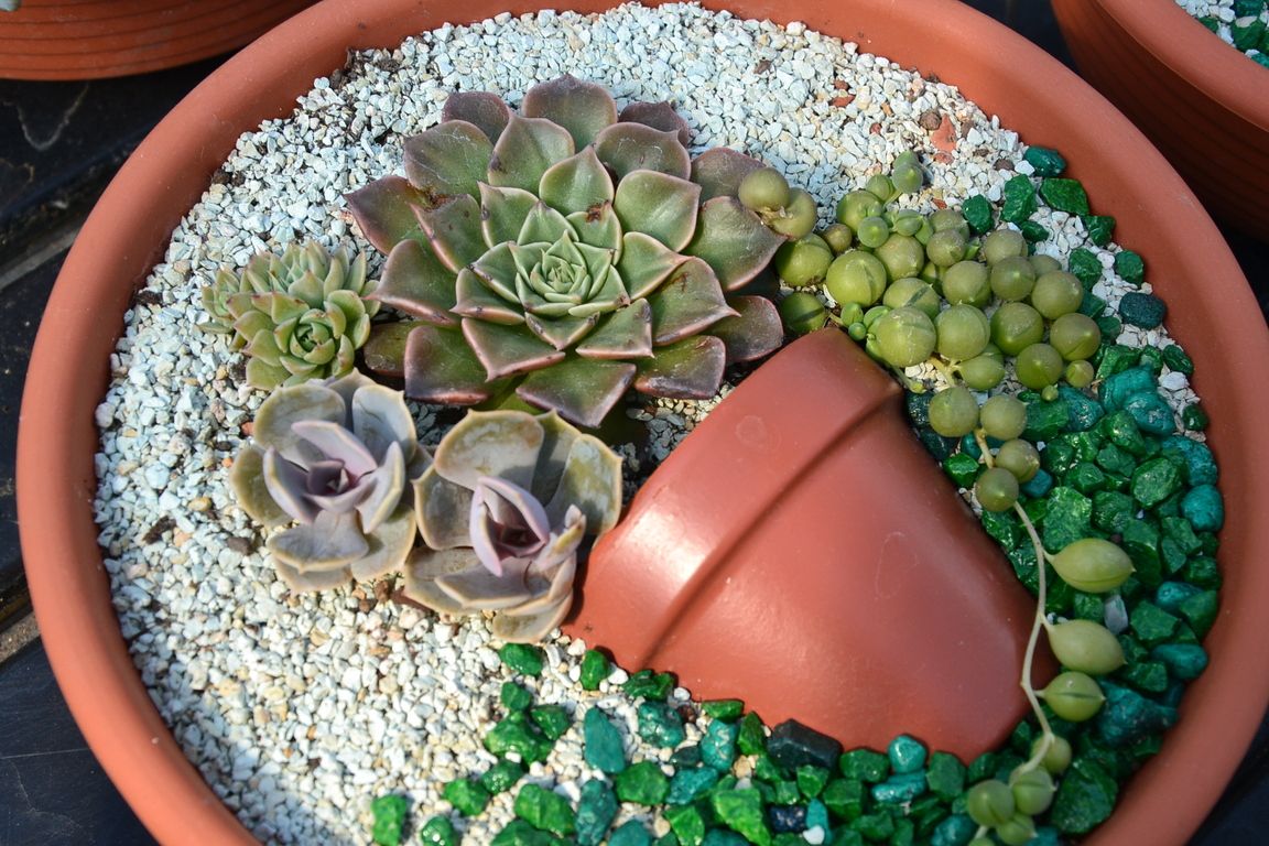 DSC_0053.jpg