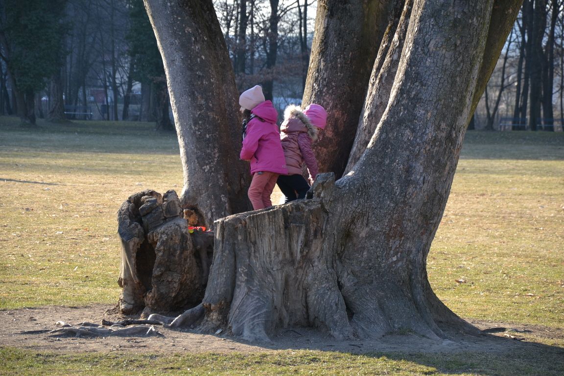 DSC_0054.jpg