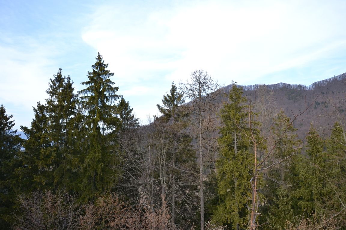 DSC_0054.jpg