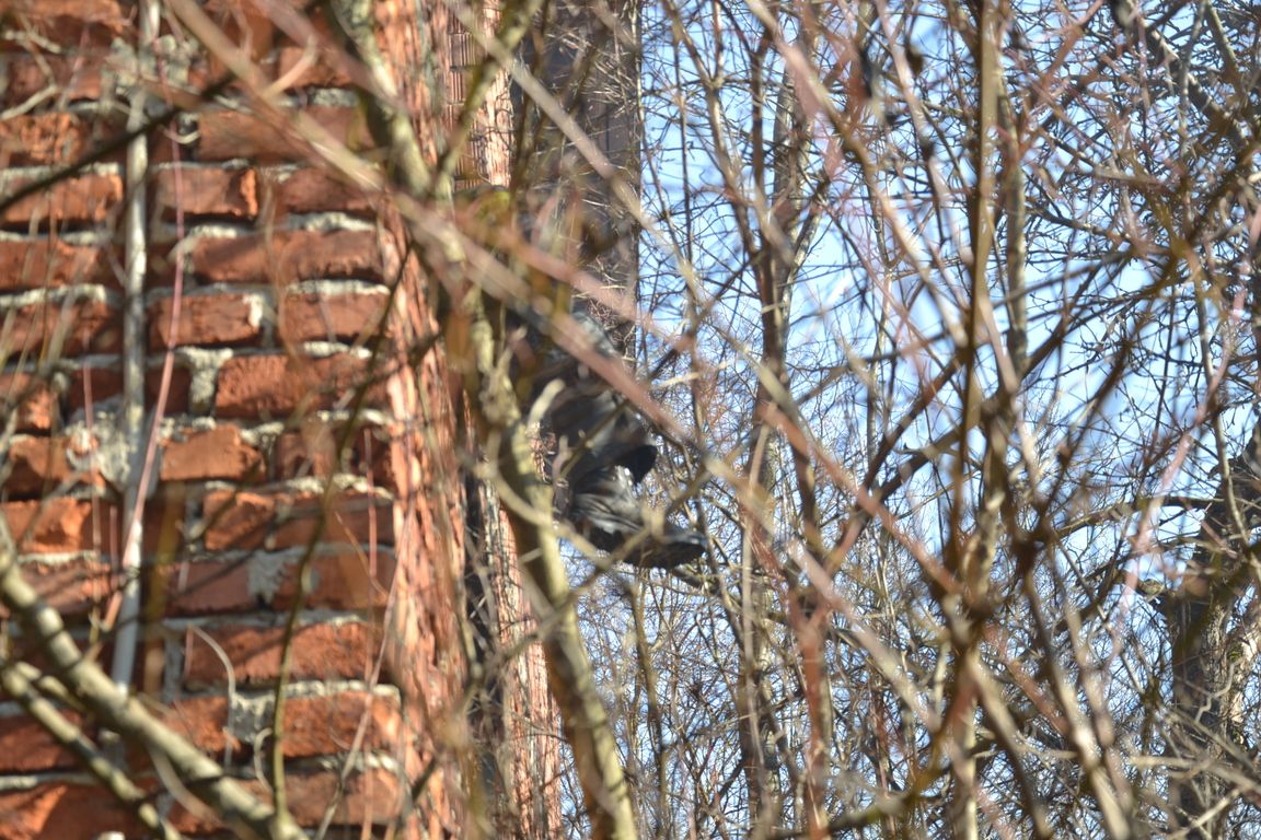 DSC_0054.jpg