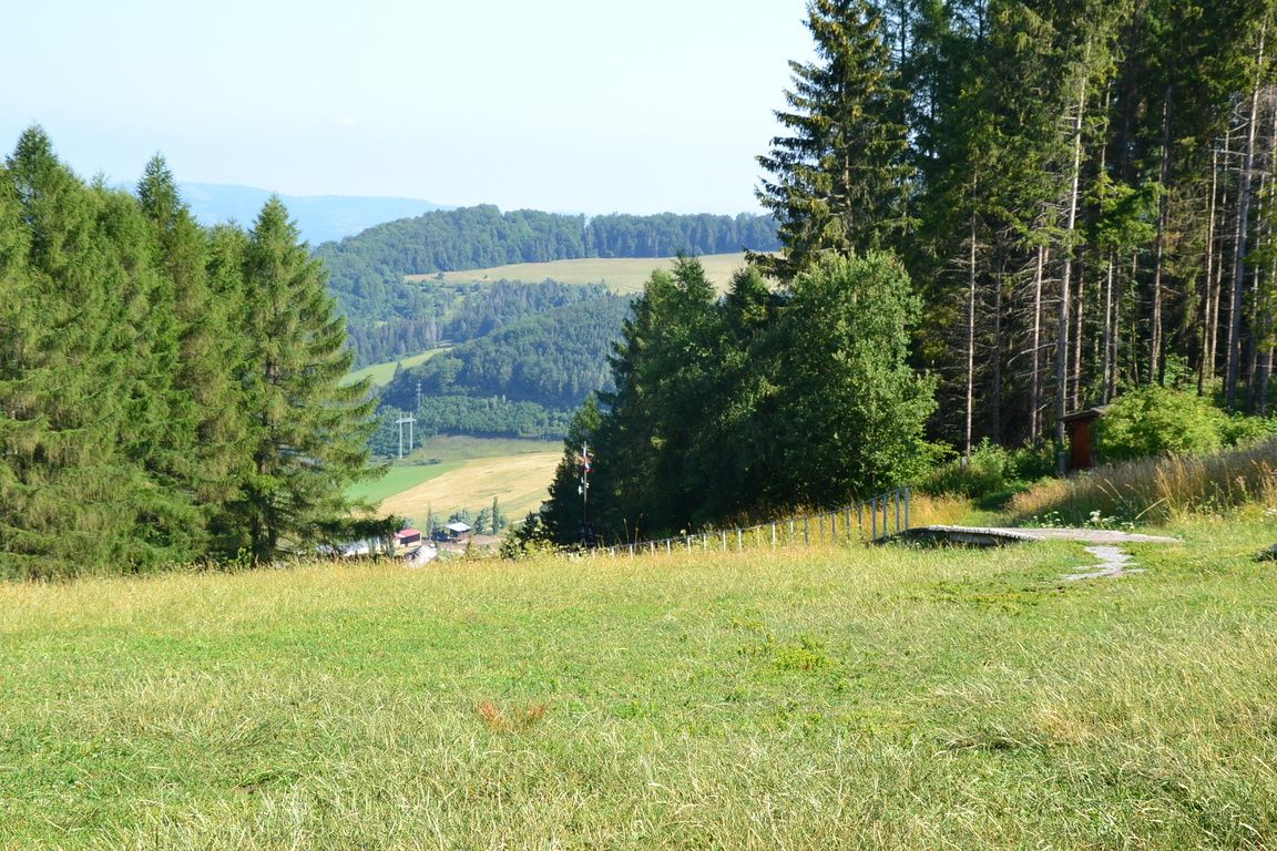 DSC_0055.jpg