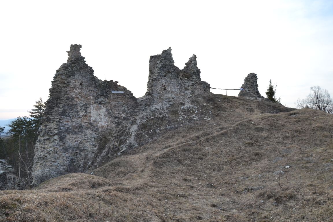 DSC_0056.jpg