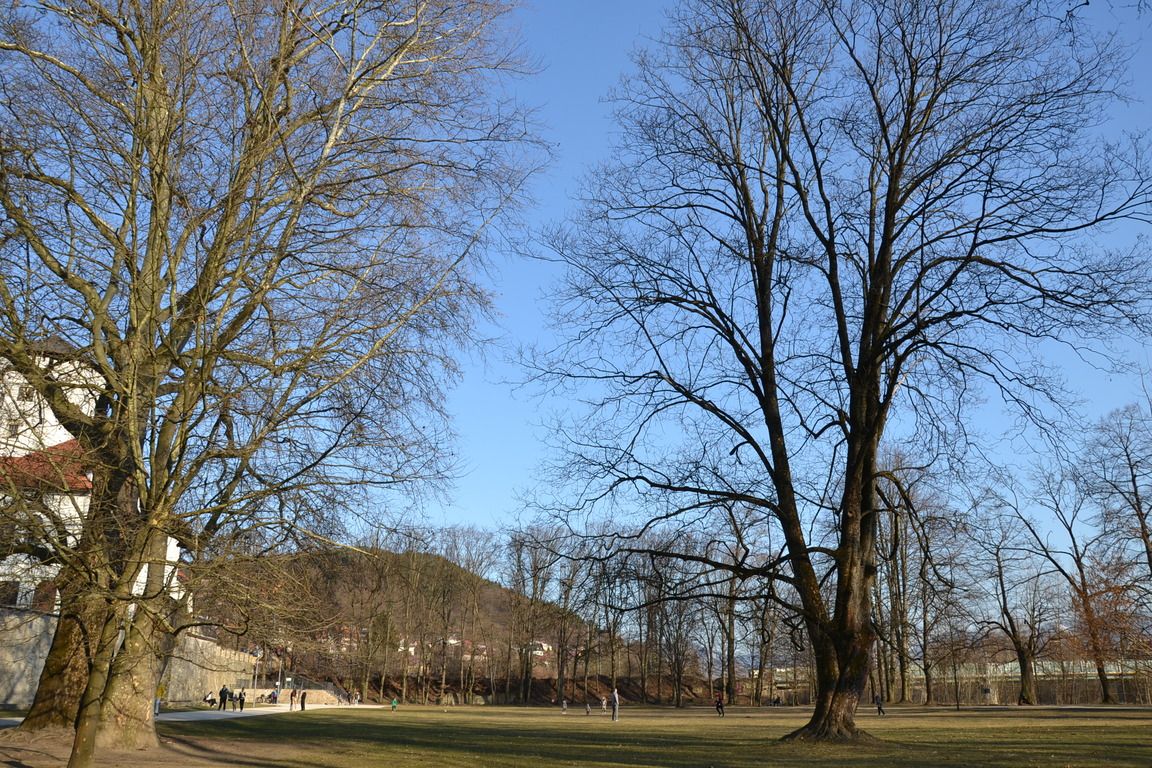 DSC_0056.jpg