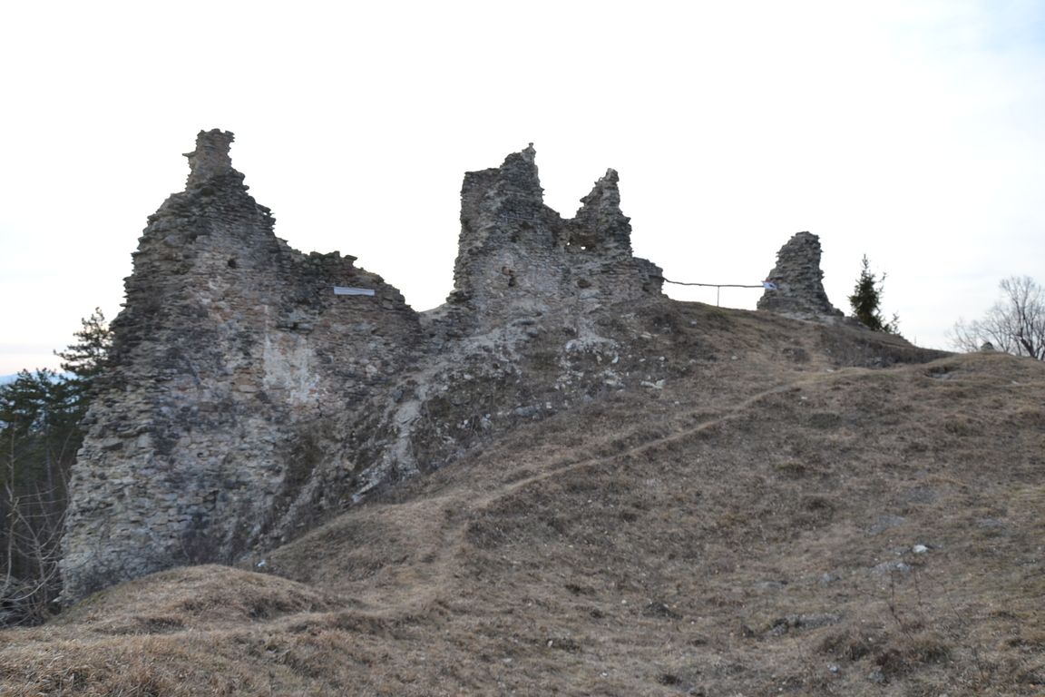 DSC_0057.jpg