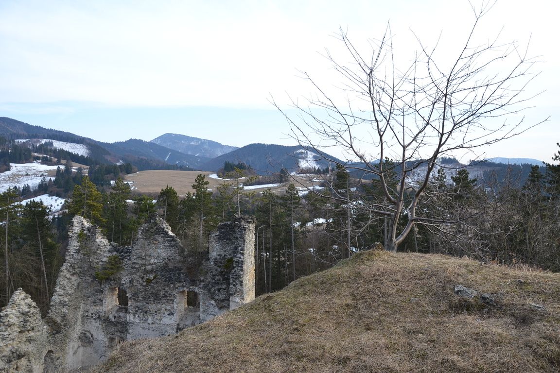 DSC_0060.jpg