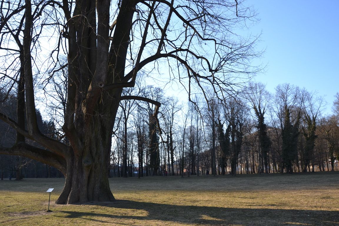 DSC_0060.jpg