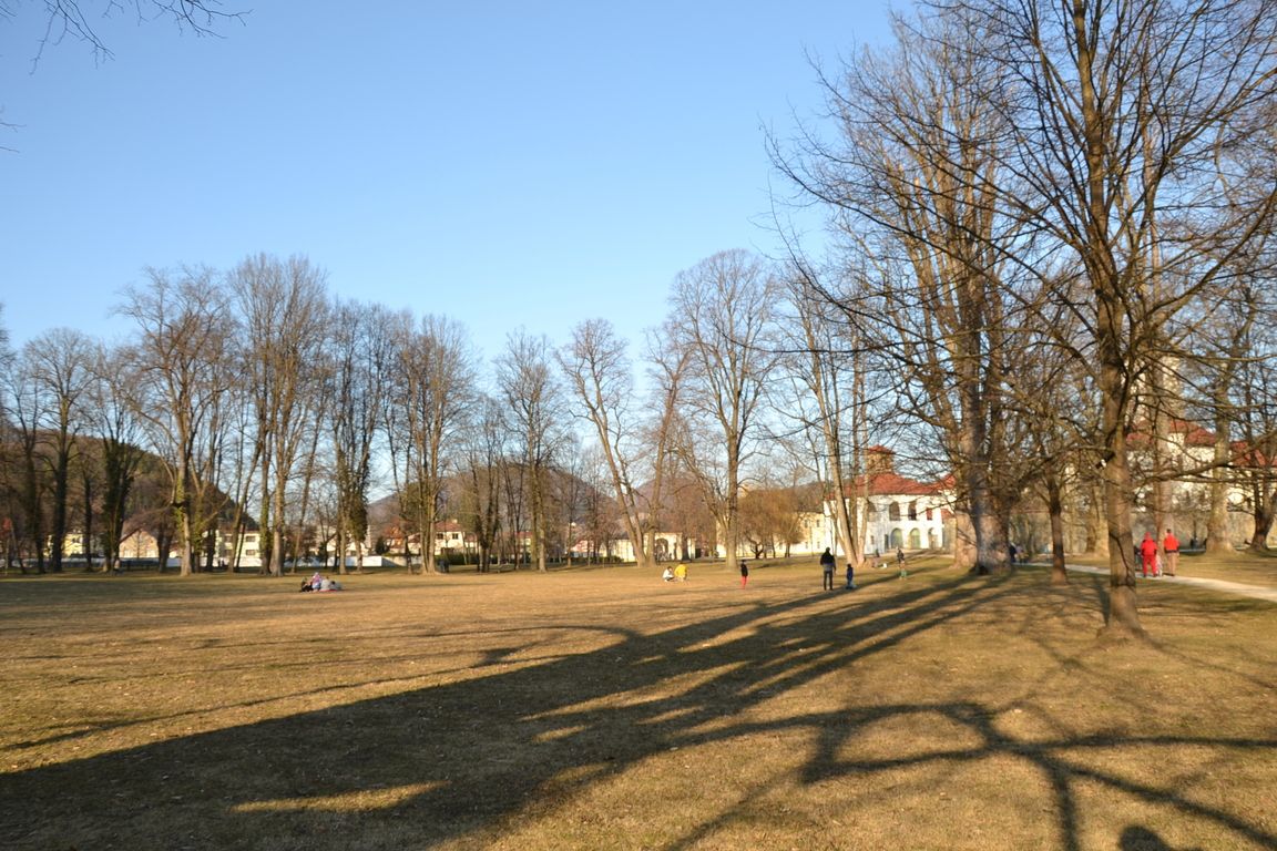 DSC_0062.jpg