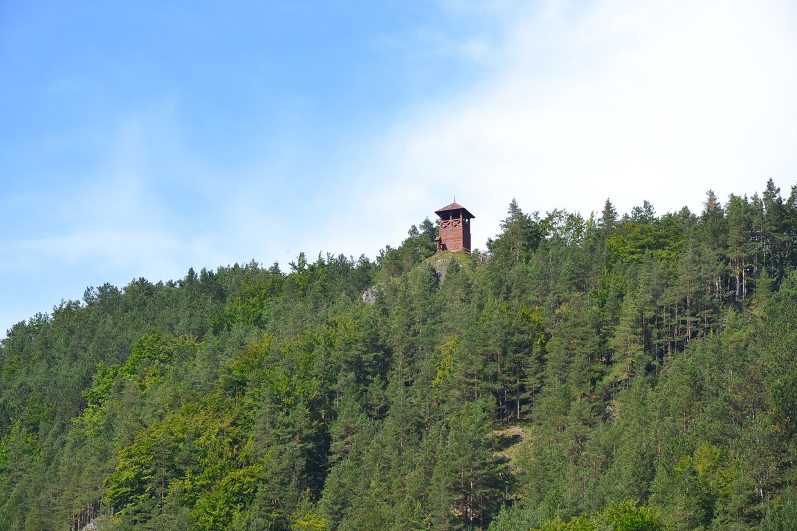 DSC_0062.jpg