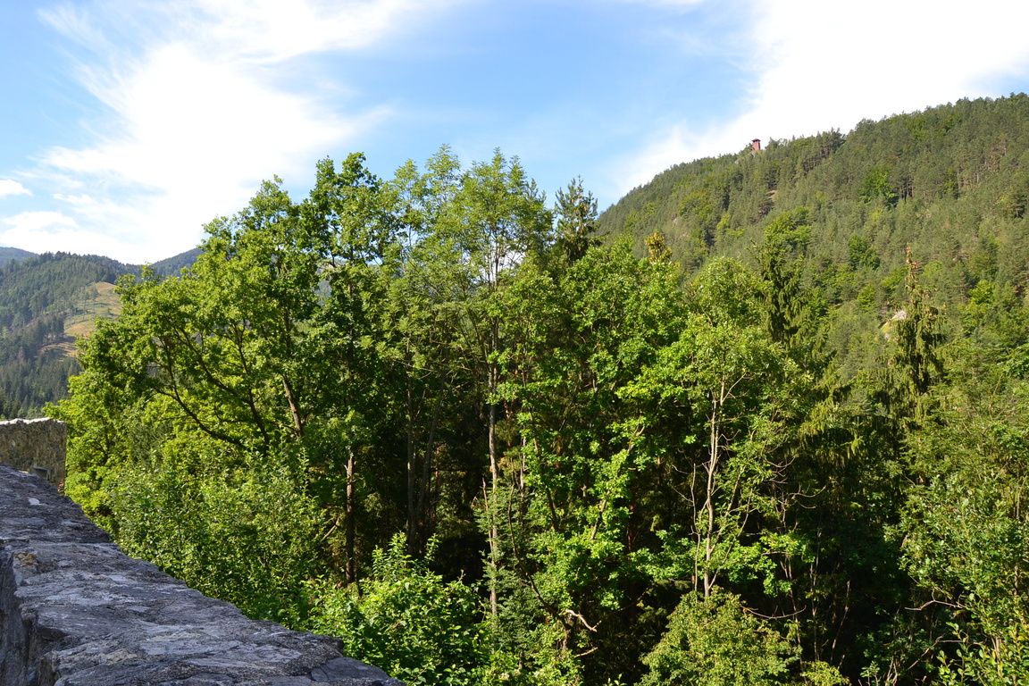 DSC_0063.jpg