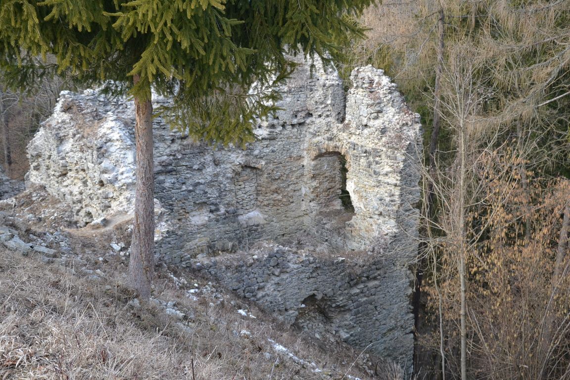 DSC_0064.jpg