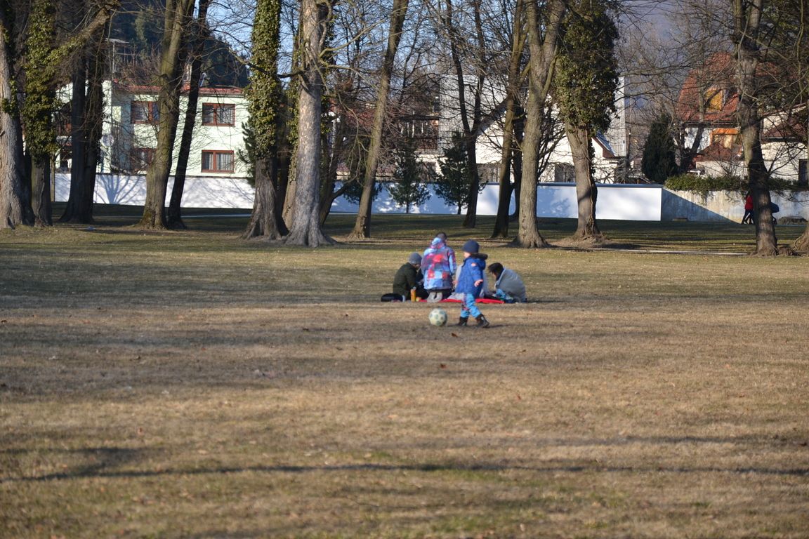 DSC_0065.jpg