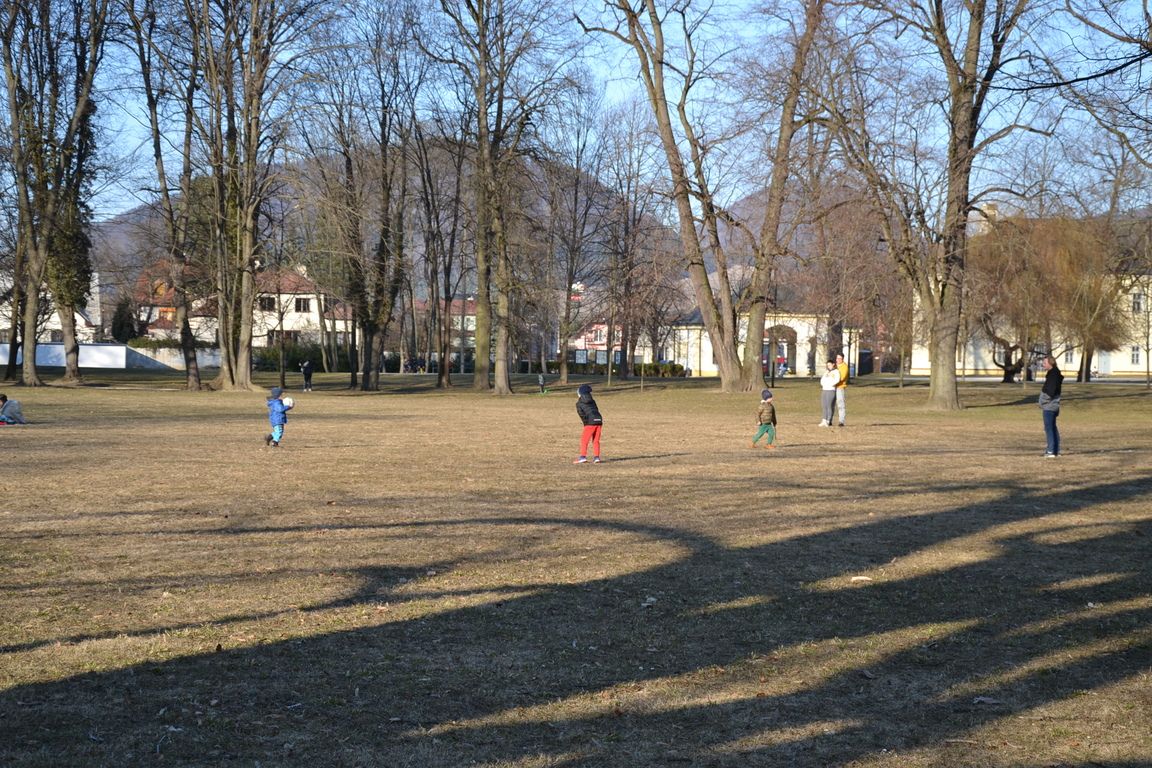 DSC_0066.jpg