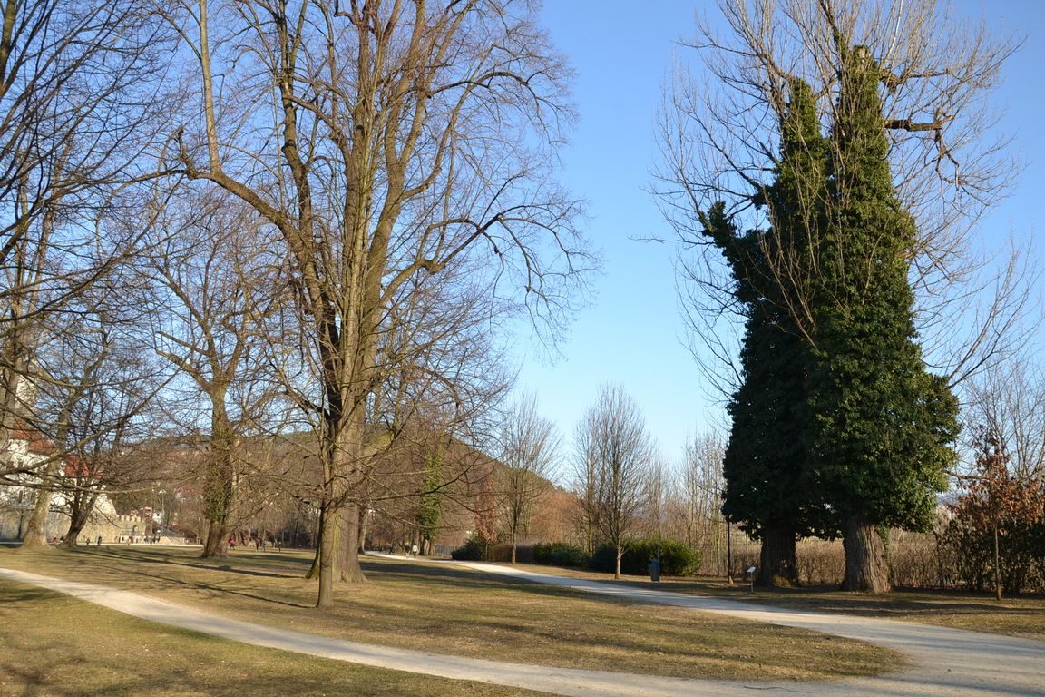 DSC_0067.jpg