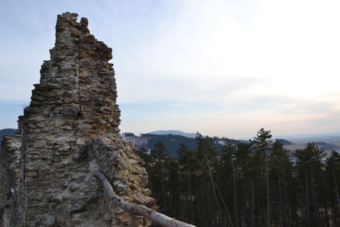 DSC_0067.jpg