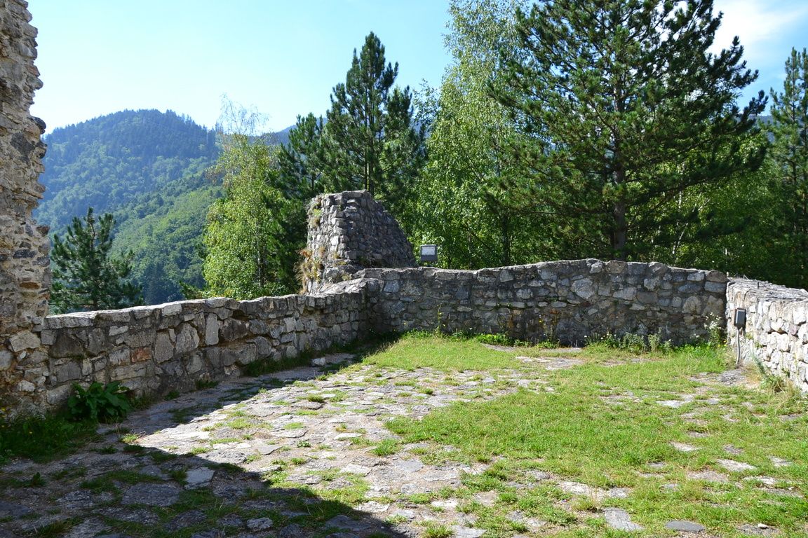 DSC_0068.jpg