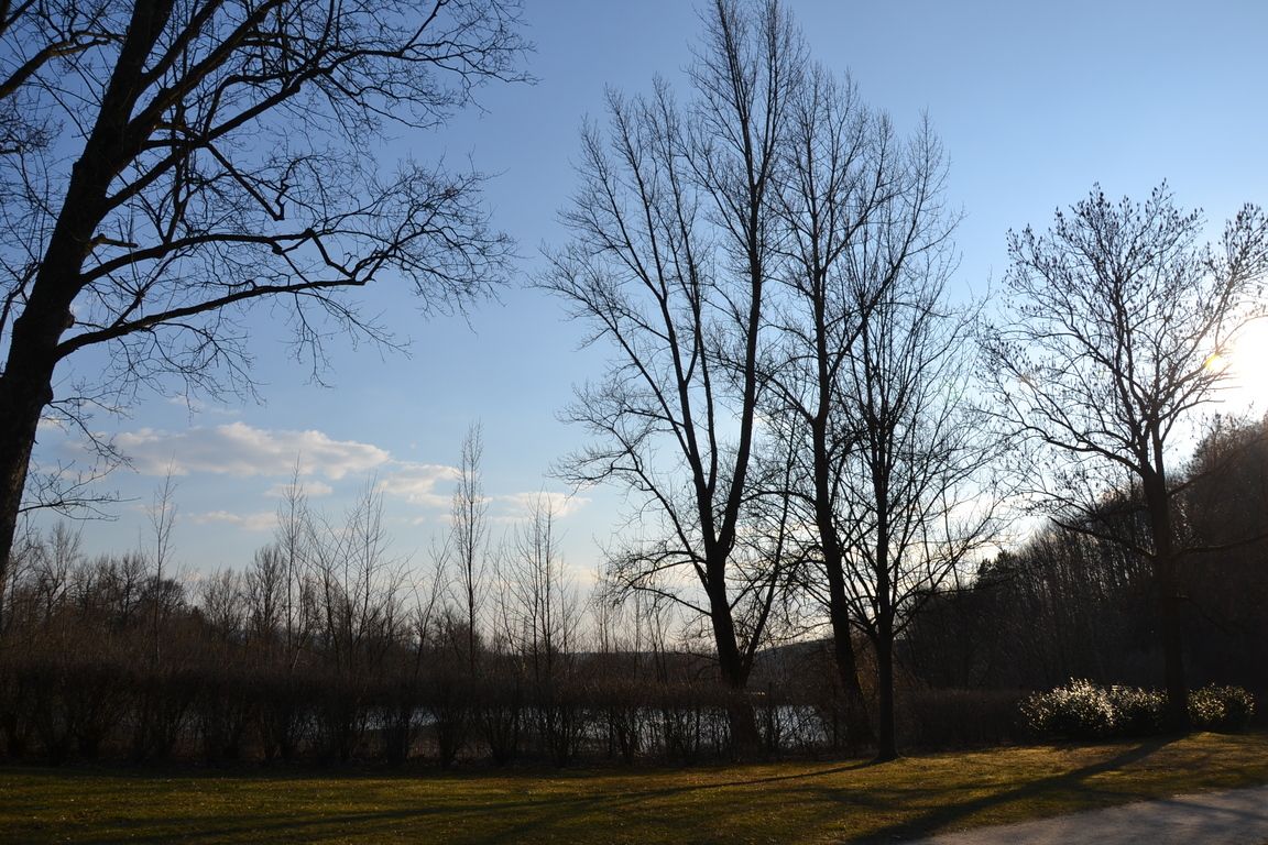 DSC_0068.jpg