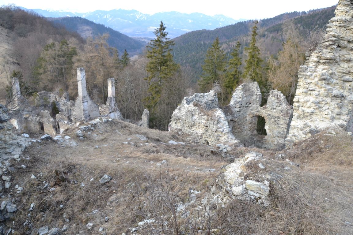 DSC_0068.jpg
