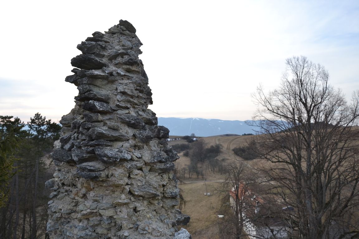DSC_0069.jpg