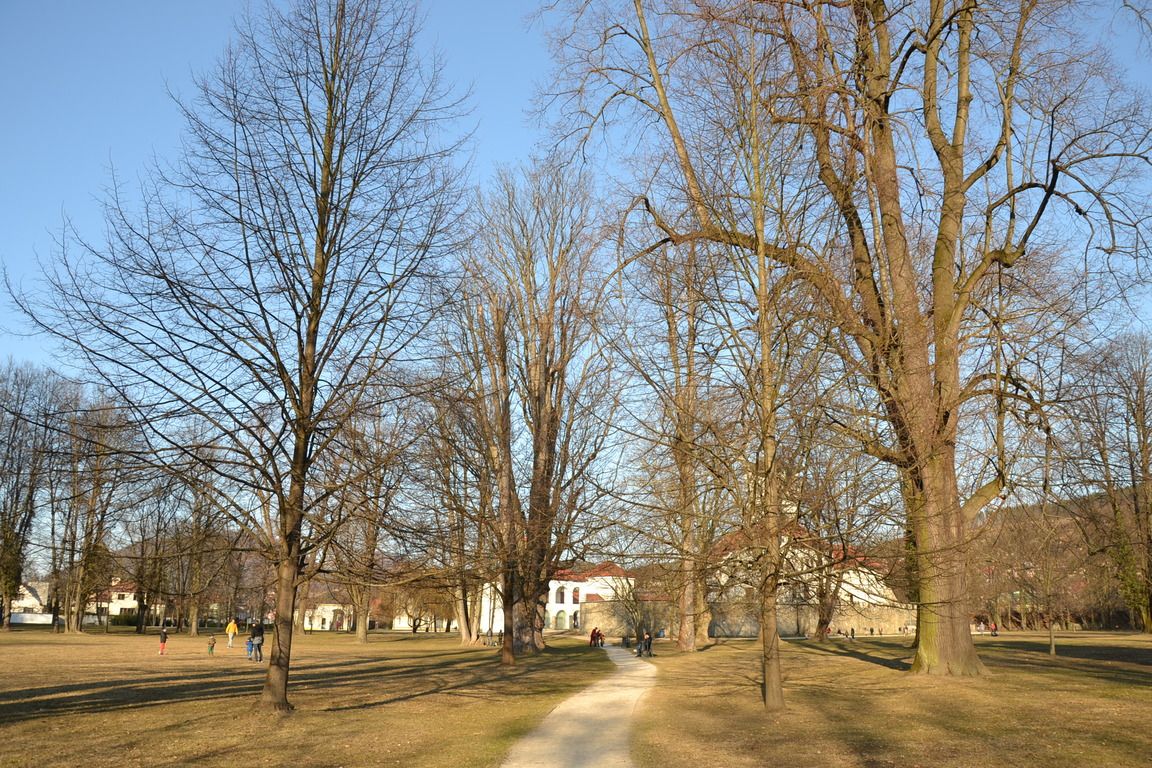 DSC_0070.jpg