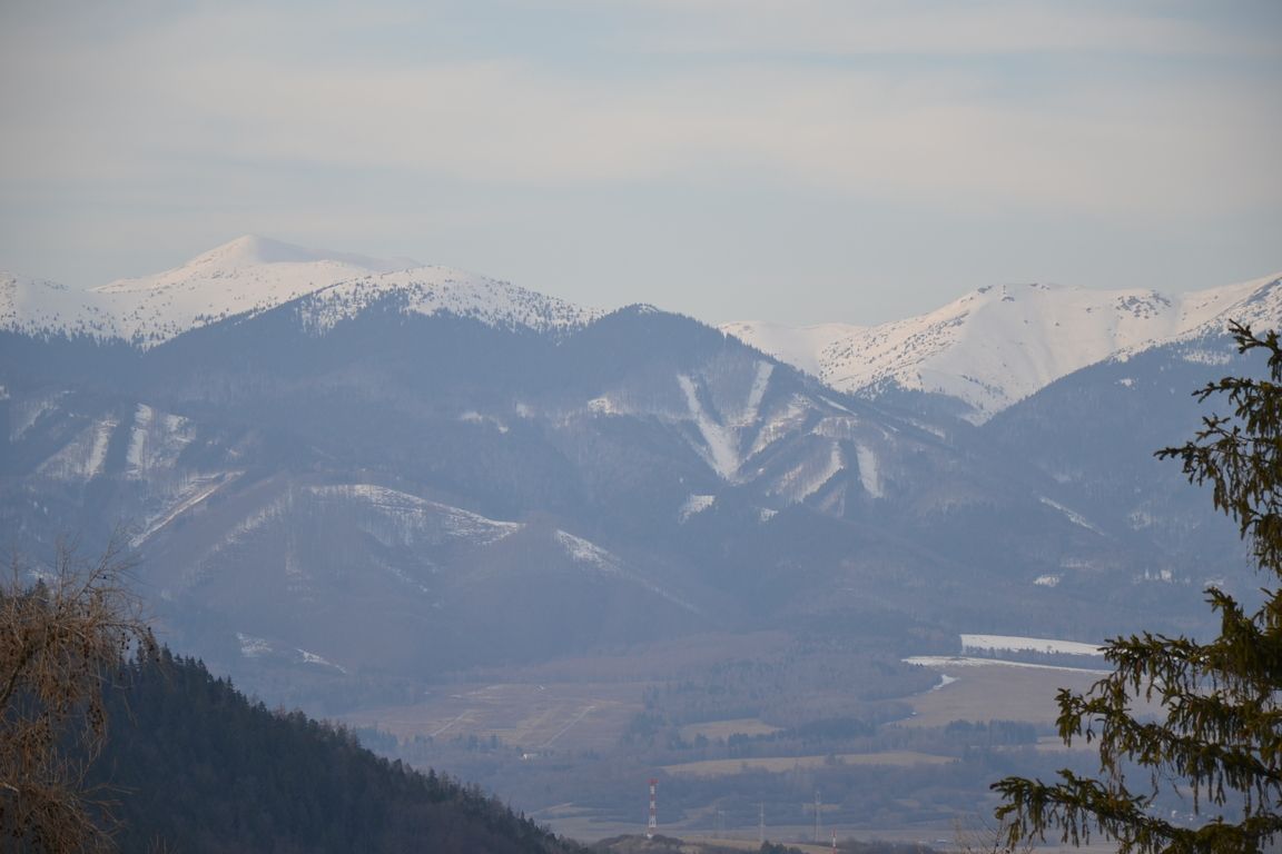 DSC_0071.jpg