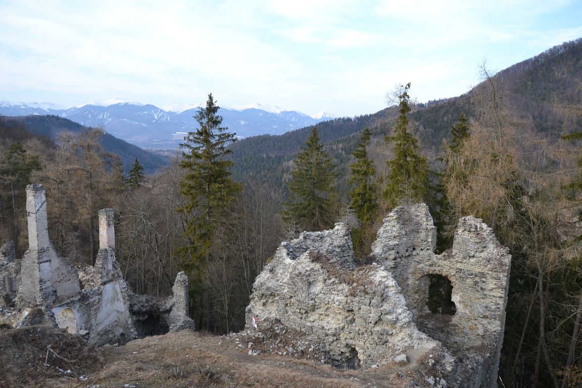 DSC_0073.jpg