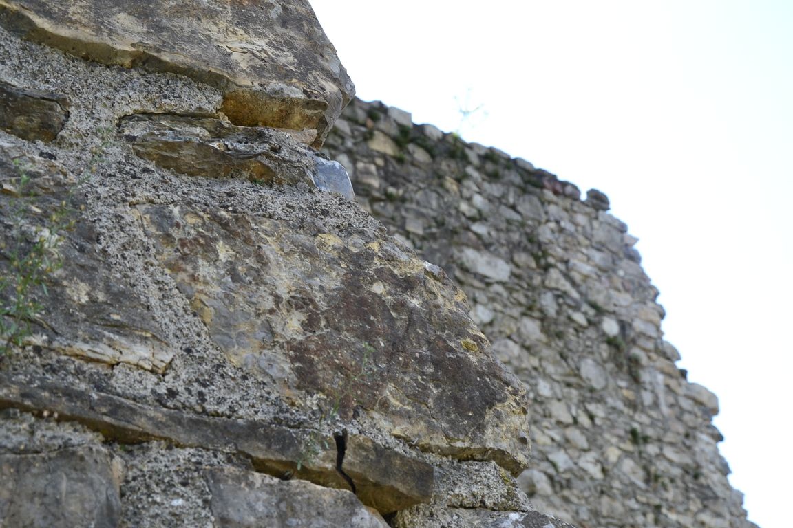 DSC_0073.jpg