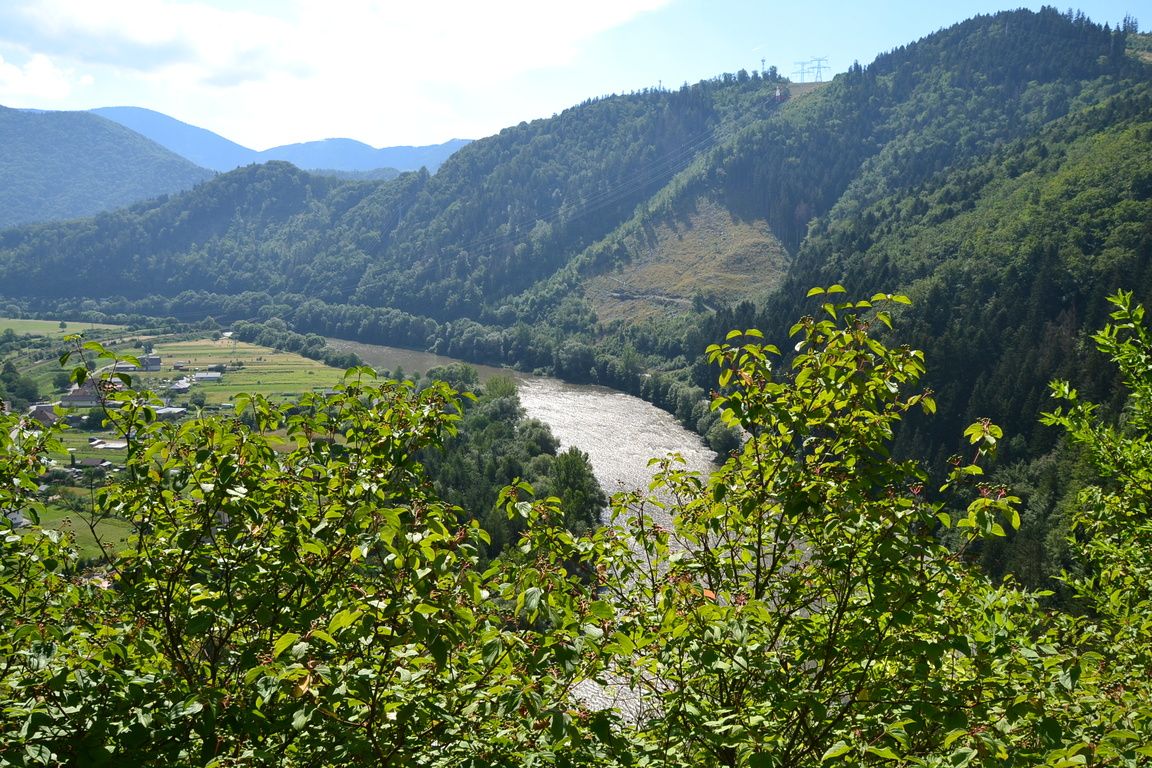 DSC_0078.jpg