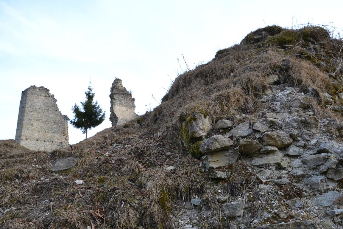 DSC_0080.jpg