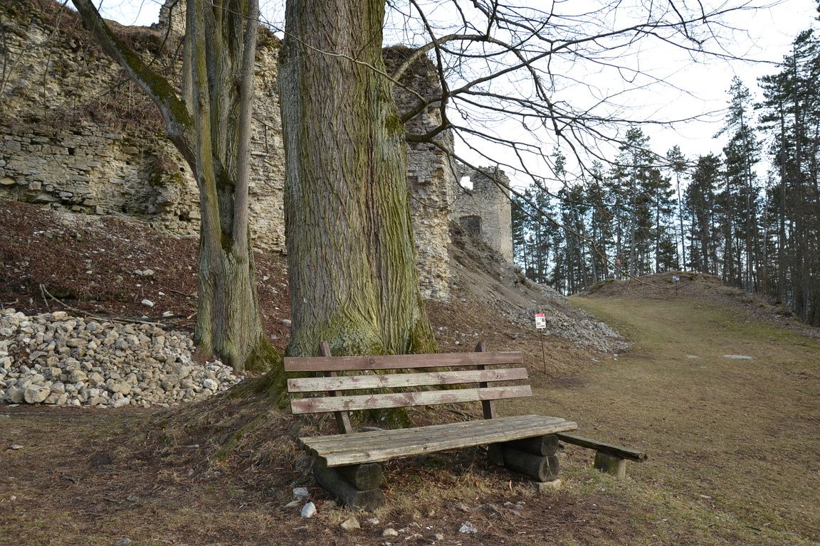 DSC_0082.jpg