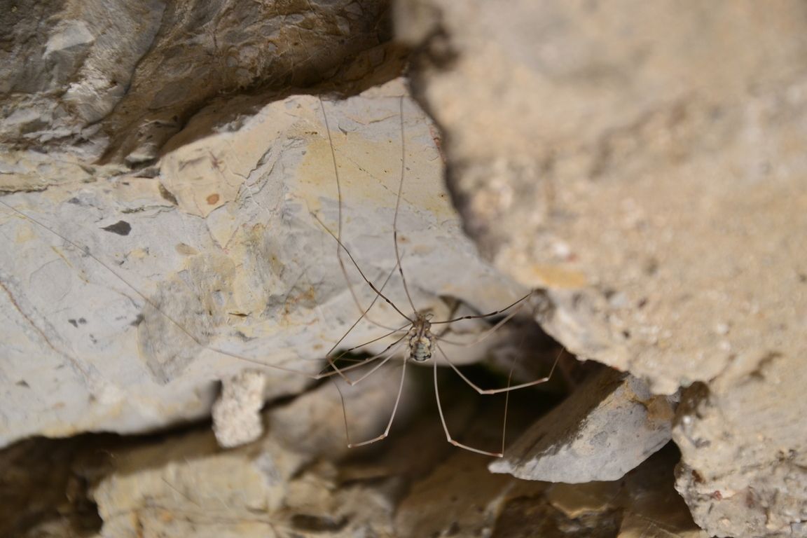 DSC_0090.jpg