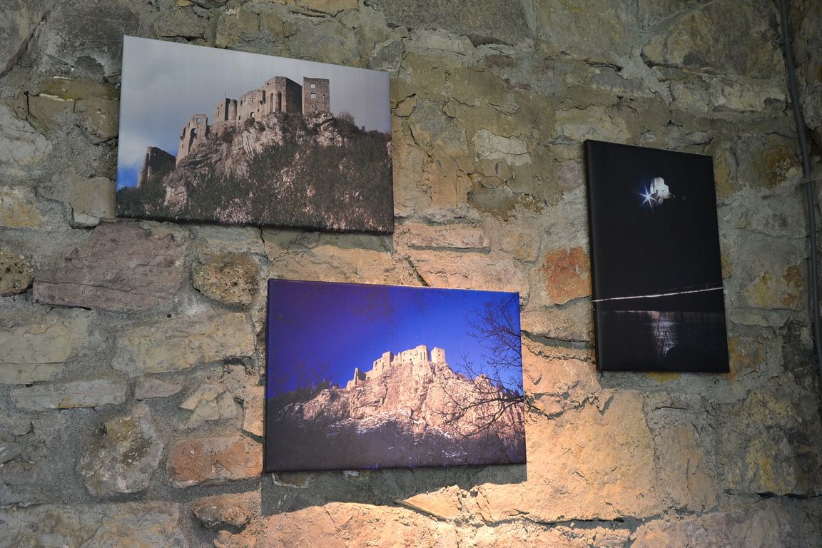 DSC_0100.jpg