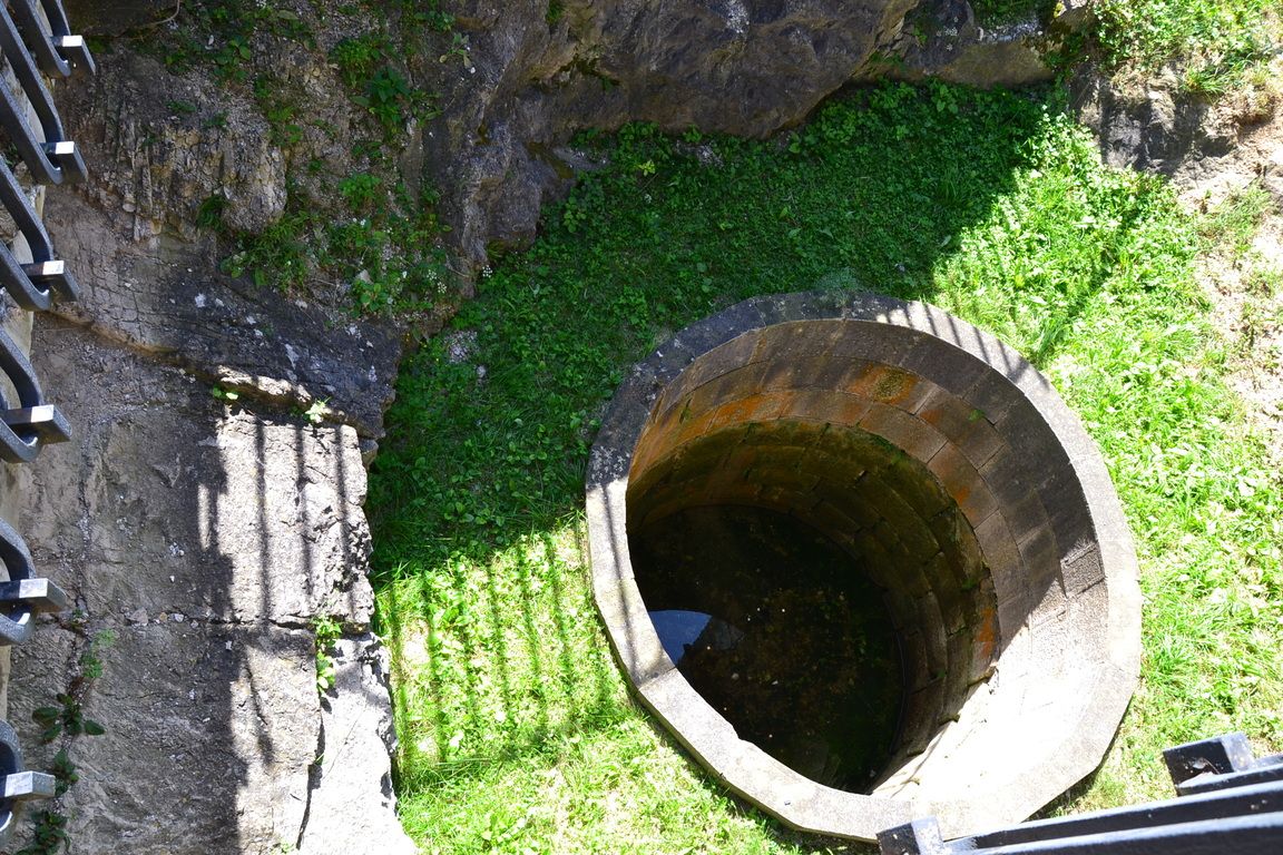 DSC_0120.jpg