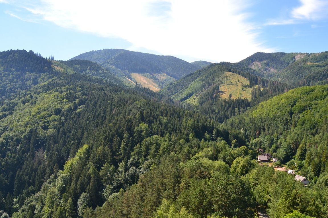 DSC_0128.jpg