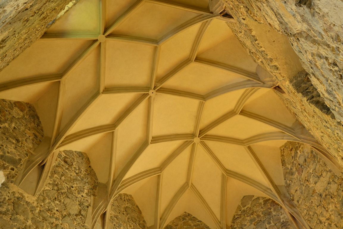 DSC_0151.jpg