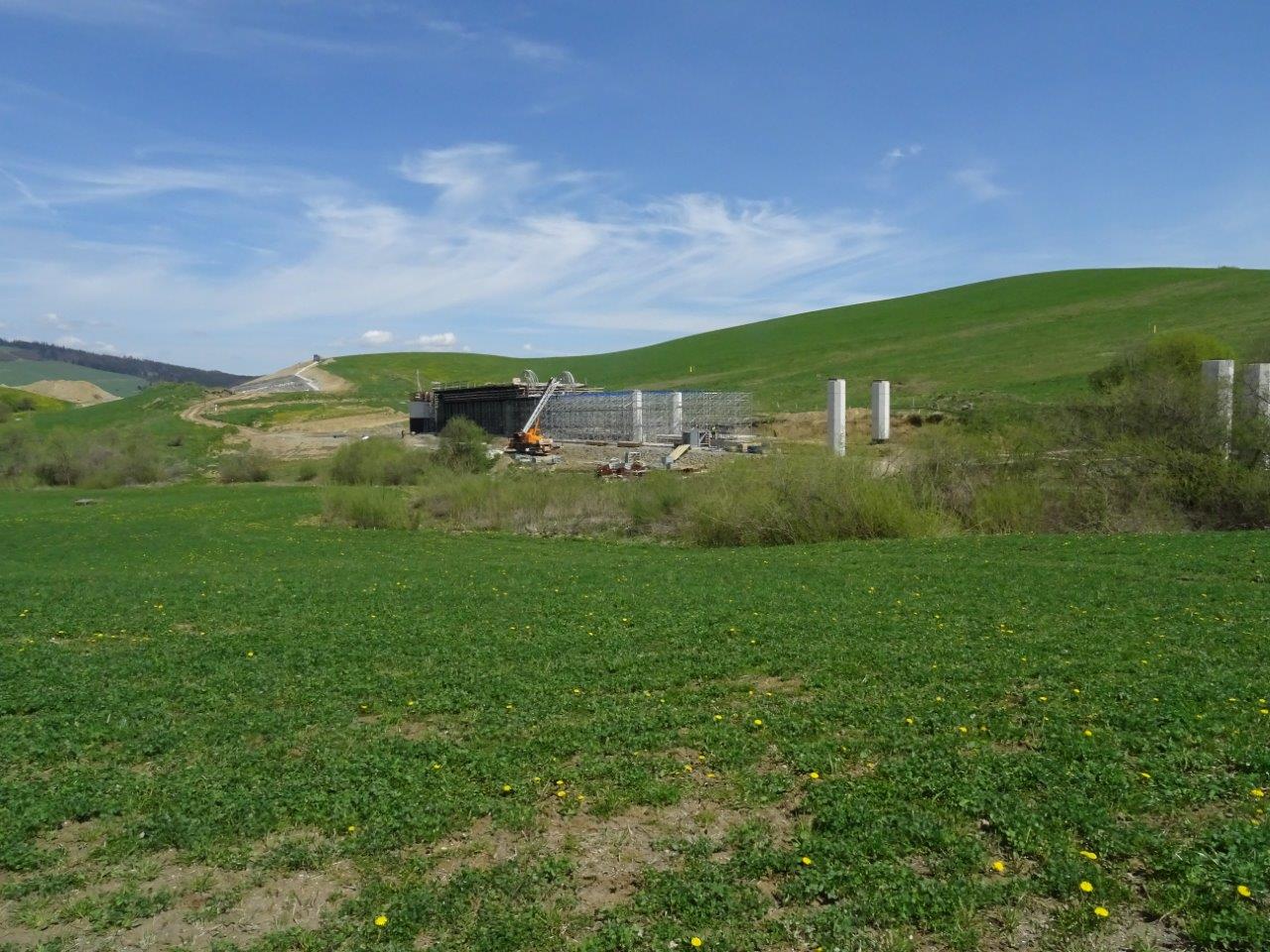 DSC04584.jpg