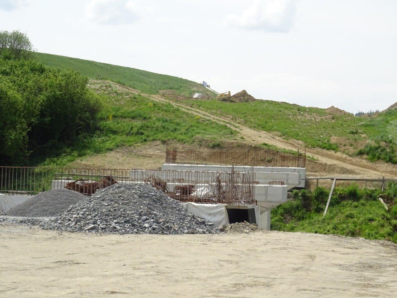 DSC04713.jpg