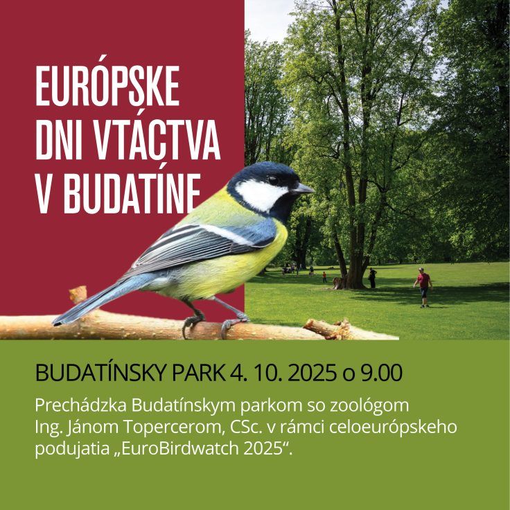 Dni_vtactva_web-736x736.jpeg