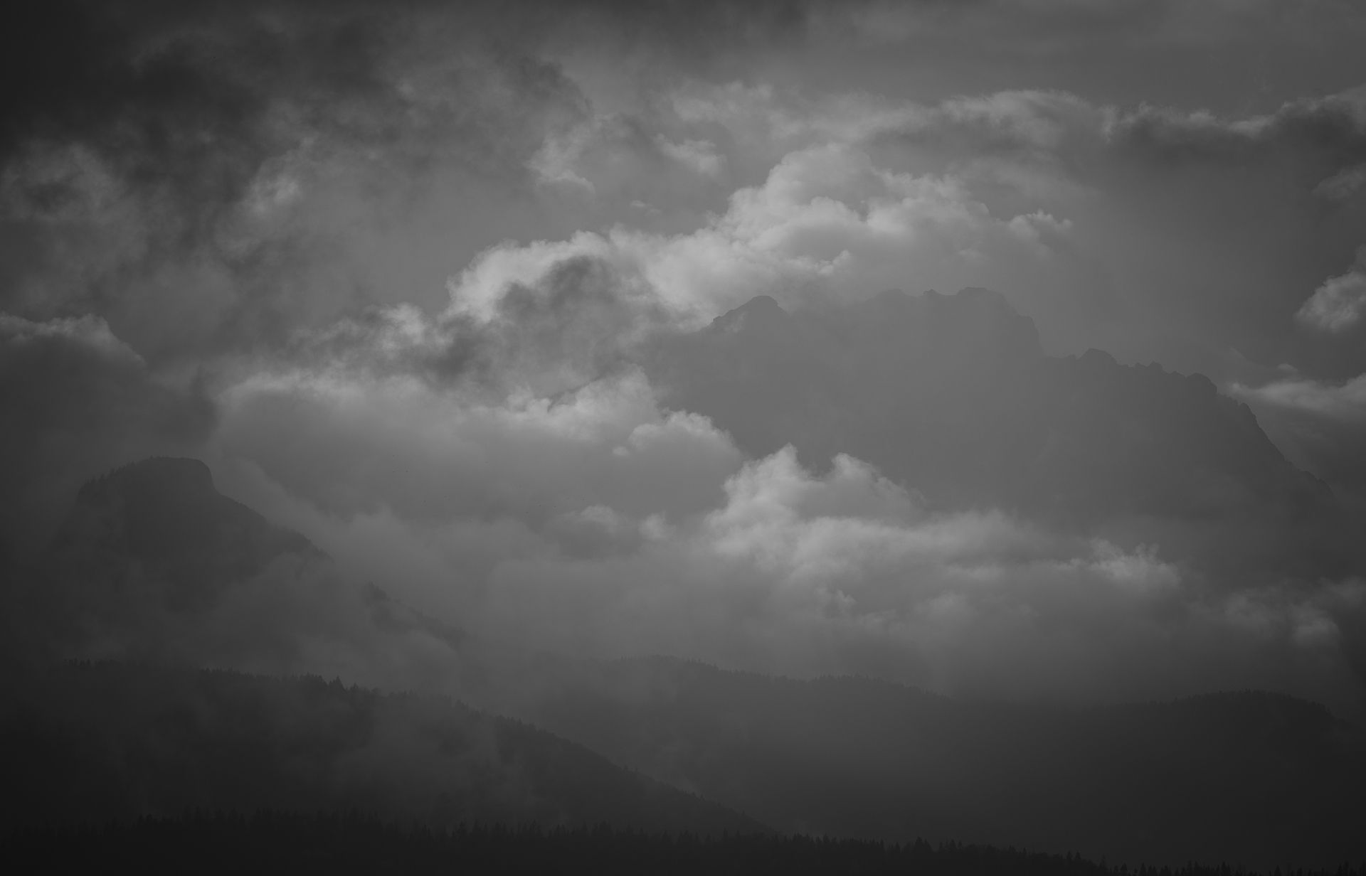 IMG_1791g_DxO-3.jpg