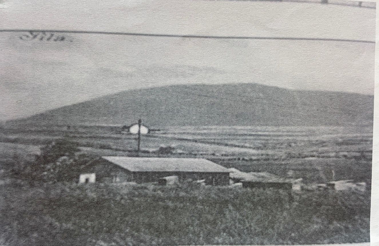 Fotografia z roku 1914 zachytáva pílu už na jej súčasnom mieste, bližšie pri Váhu.