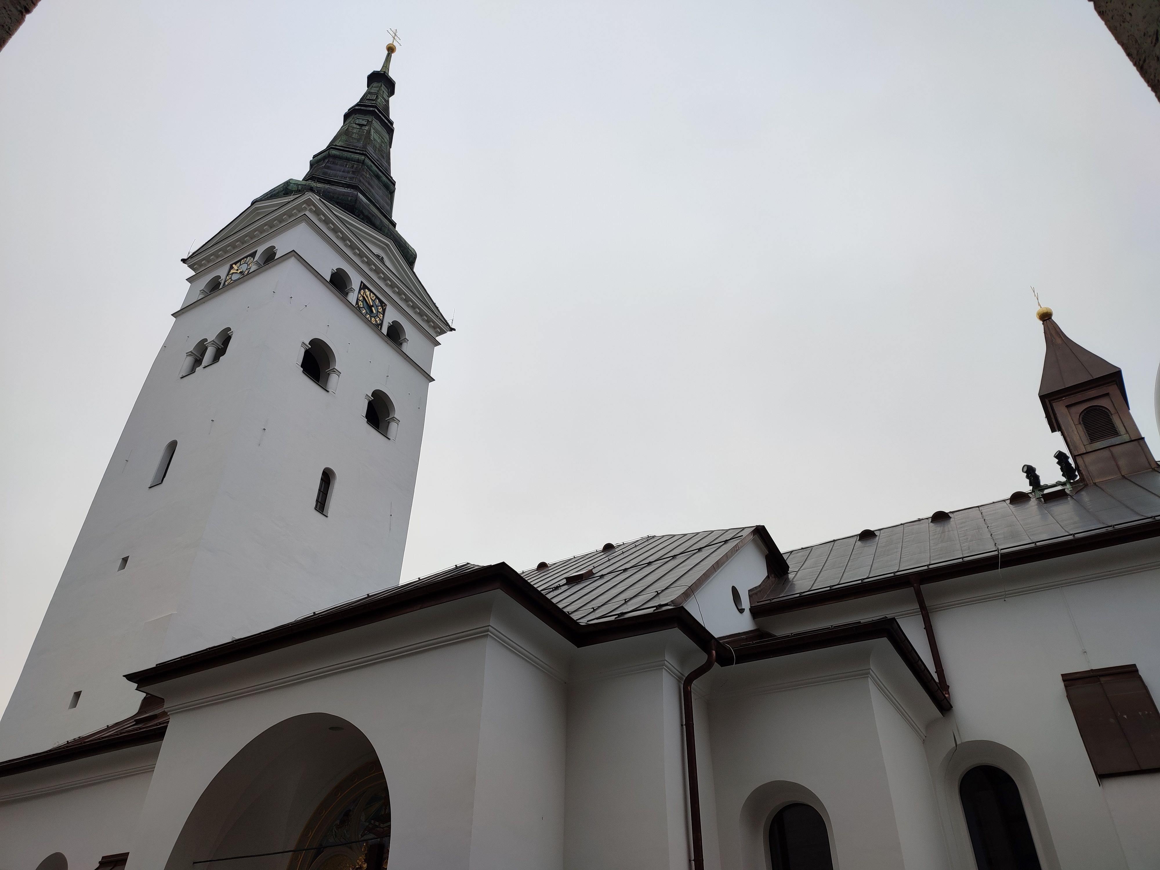 IMG_20230112_095446.jpg