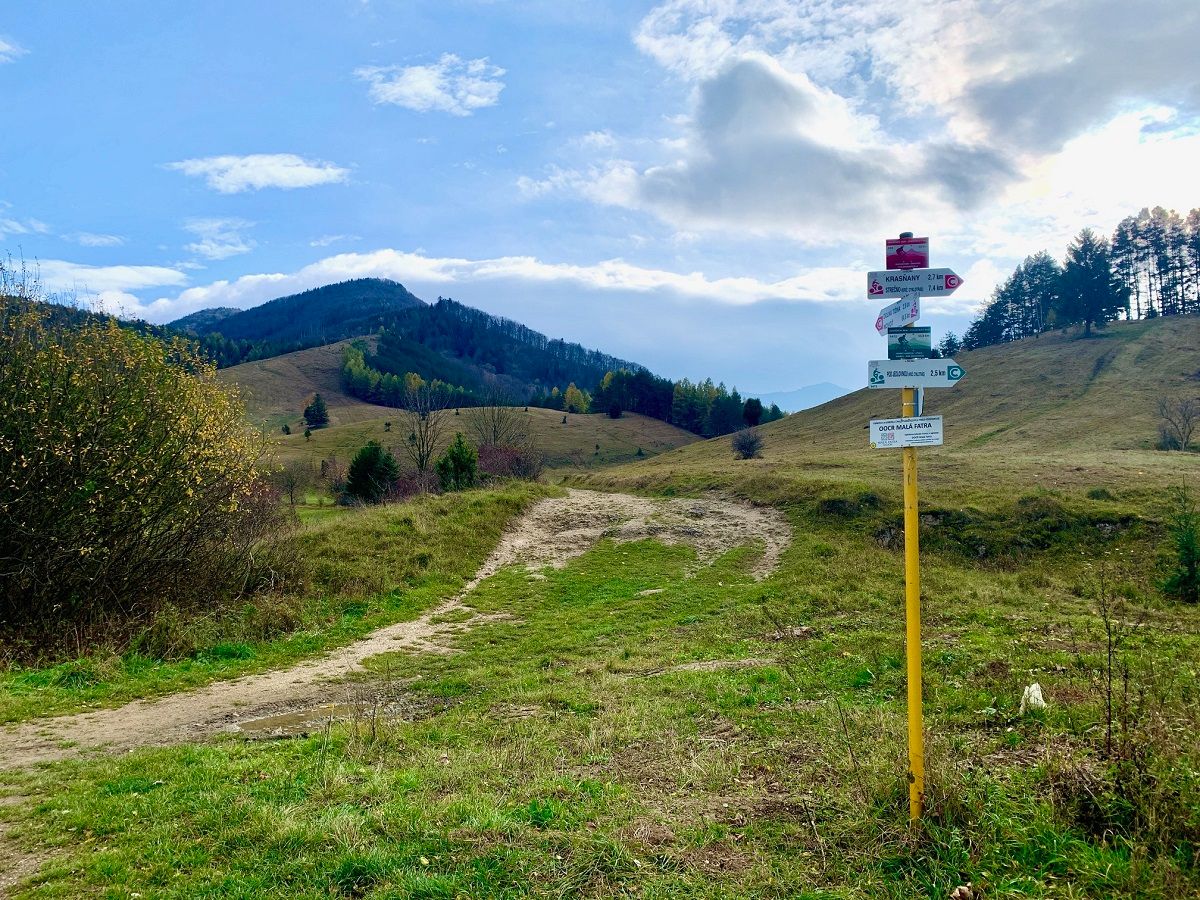 Pri turistickom smerovníku sa vyberieme cestou nahor. Pred nami sa už vynára Borová. 
