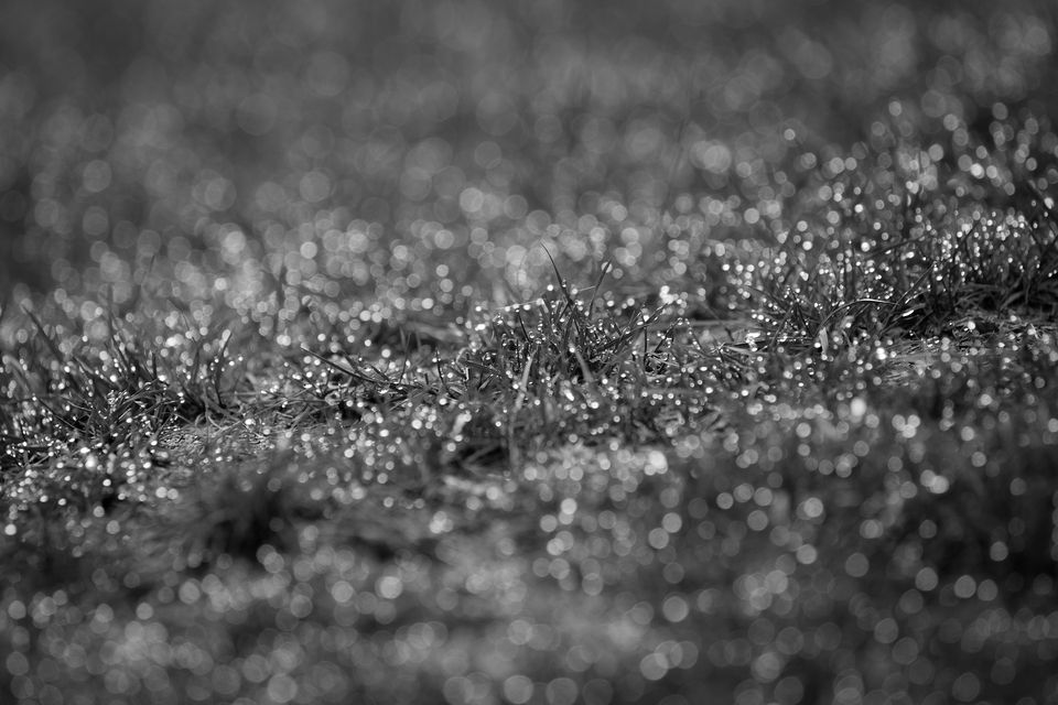 IMG_2546k_DxO-5.jpg