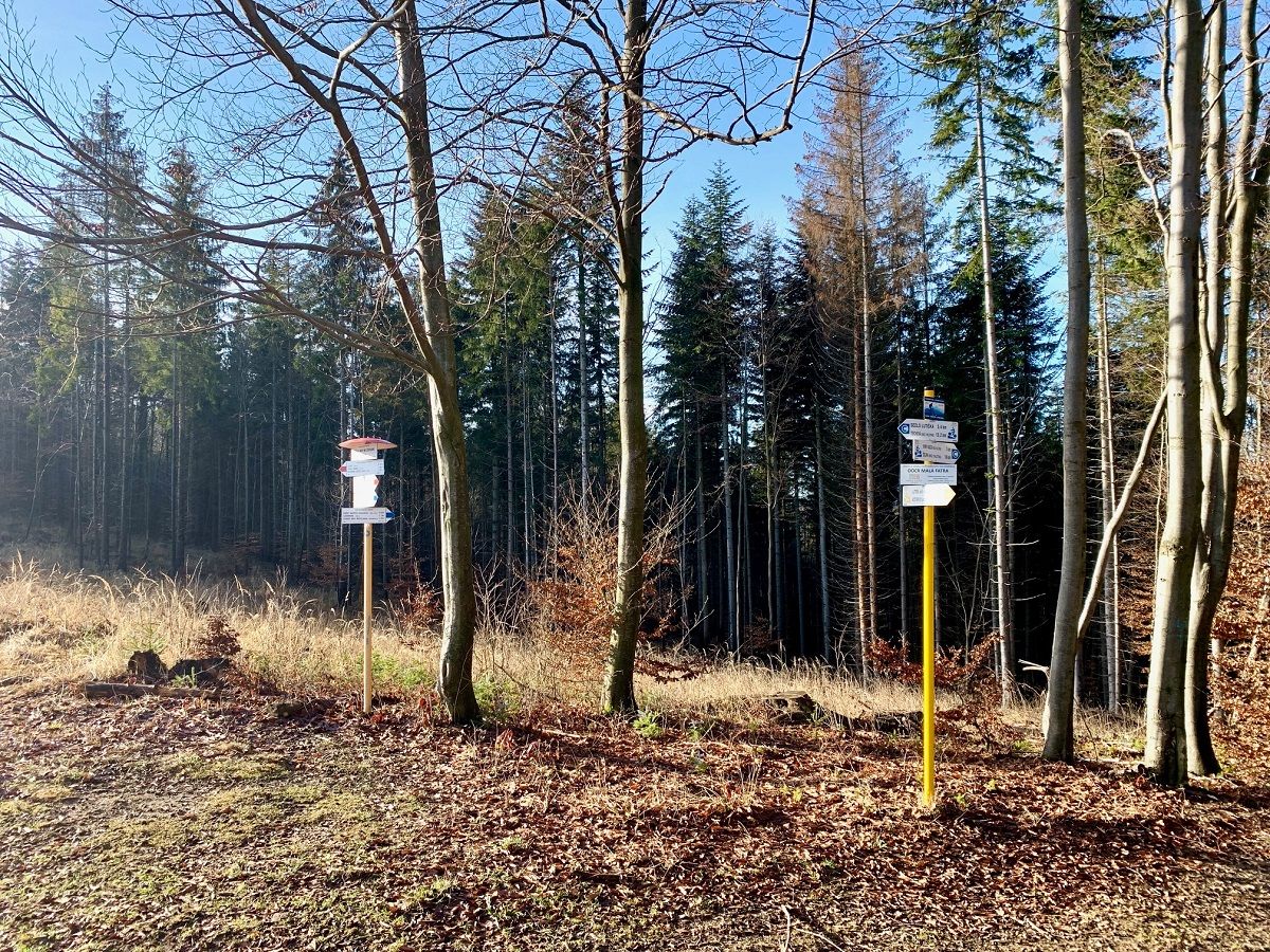 Modrá značka nás dovedie ku ďalšej križovatke turistických chodníkov, do Sedla Melišovci. Pokračujeme po červenej značke do Sedla Zlieň.