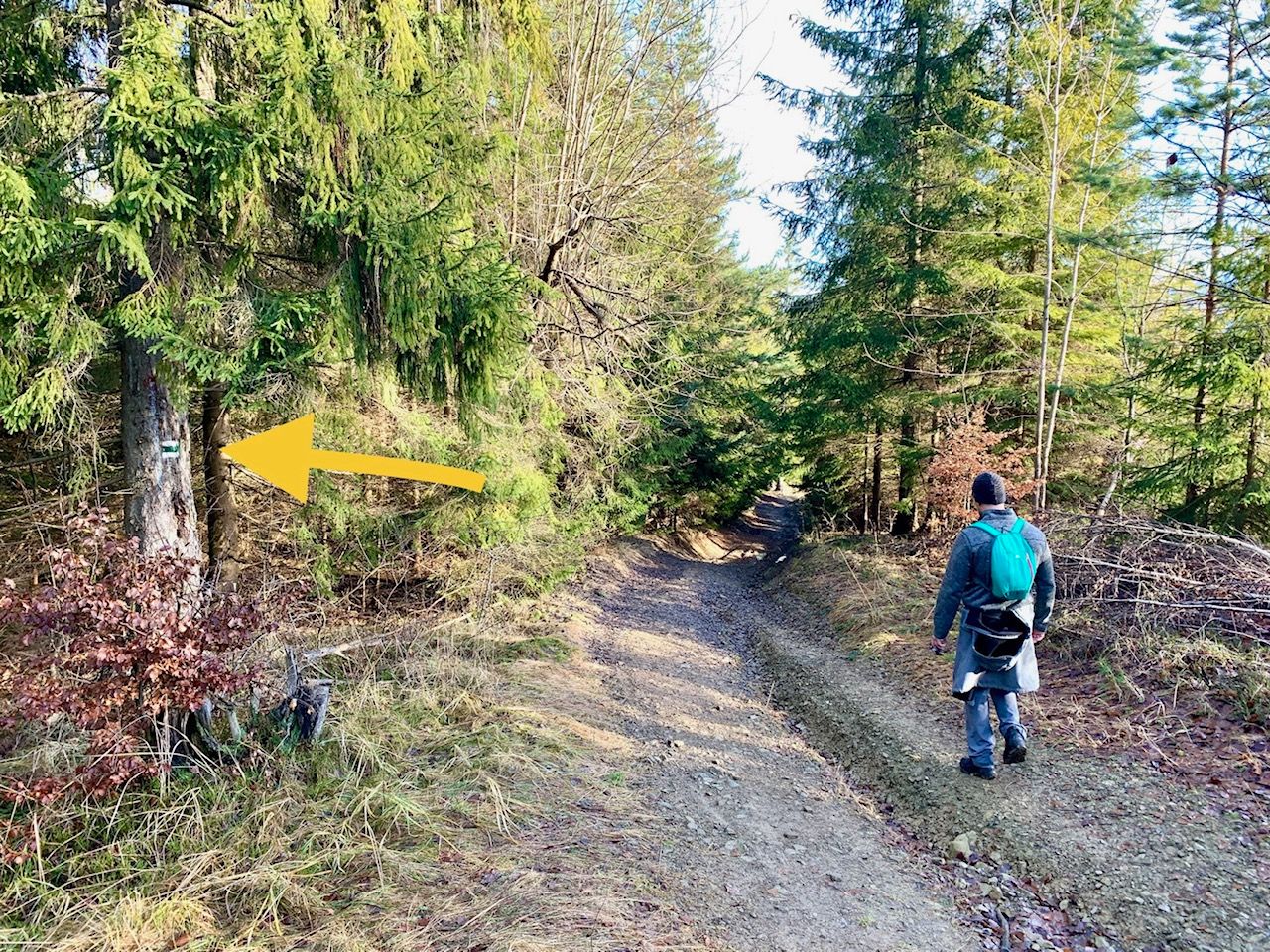 Po pár minútach sa červená značka odpojí od lesnej cesty, stočí sa doprava a zakrátko sa napojí na zelenú trasu. V tomto okamihu sa treba otočiť a vydať sa opačným smerom po zelenej.