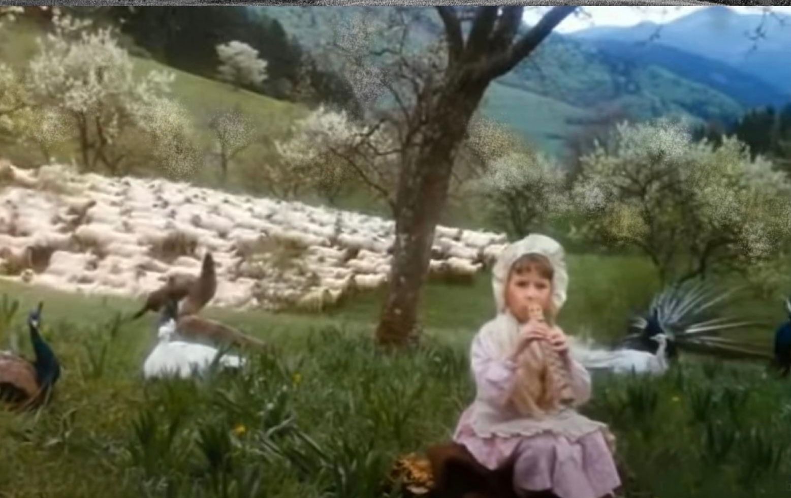 Scéna z Perinbaby, v ktorej Alžbetka pasie pávy, bola natočená pri hrade Sklabiňa, v bývalom ovocnom sade.