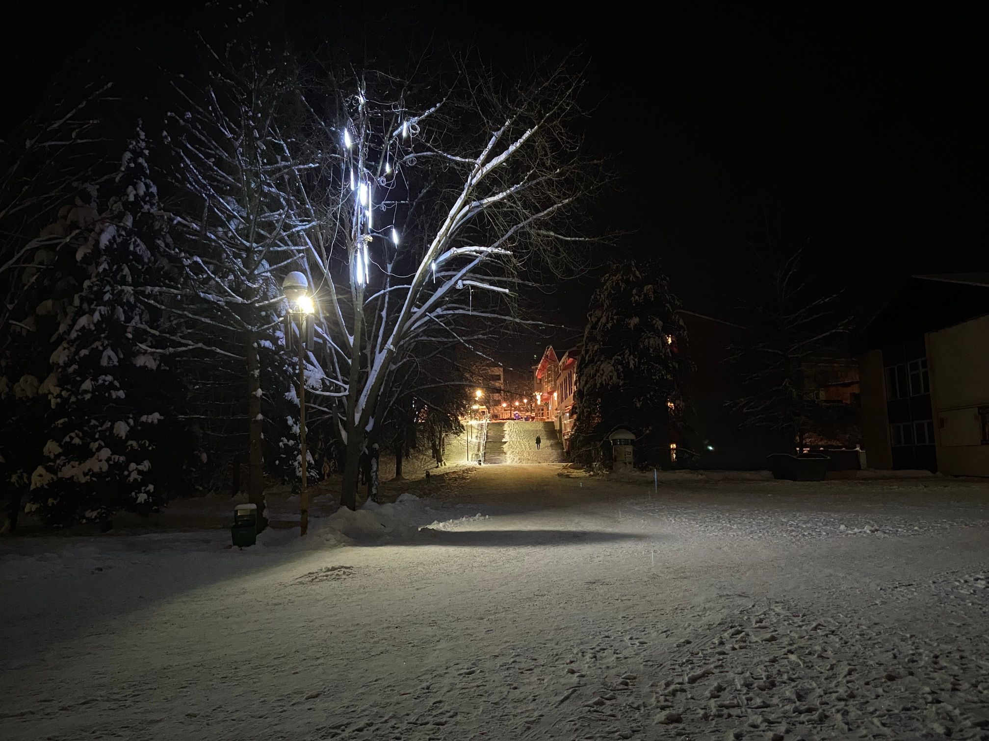 IMG-8454.jpg