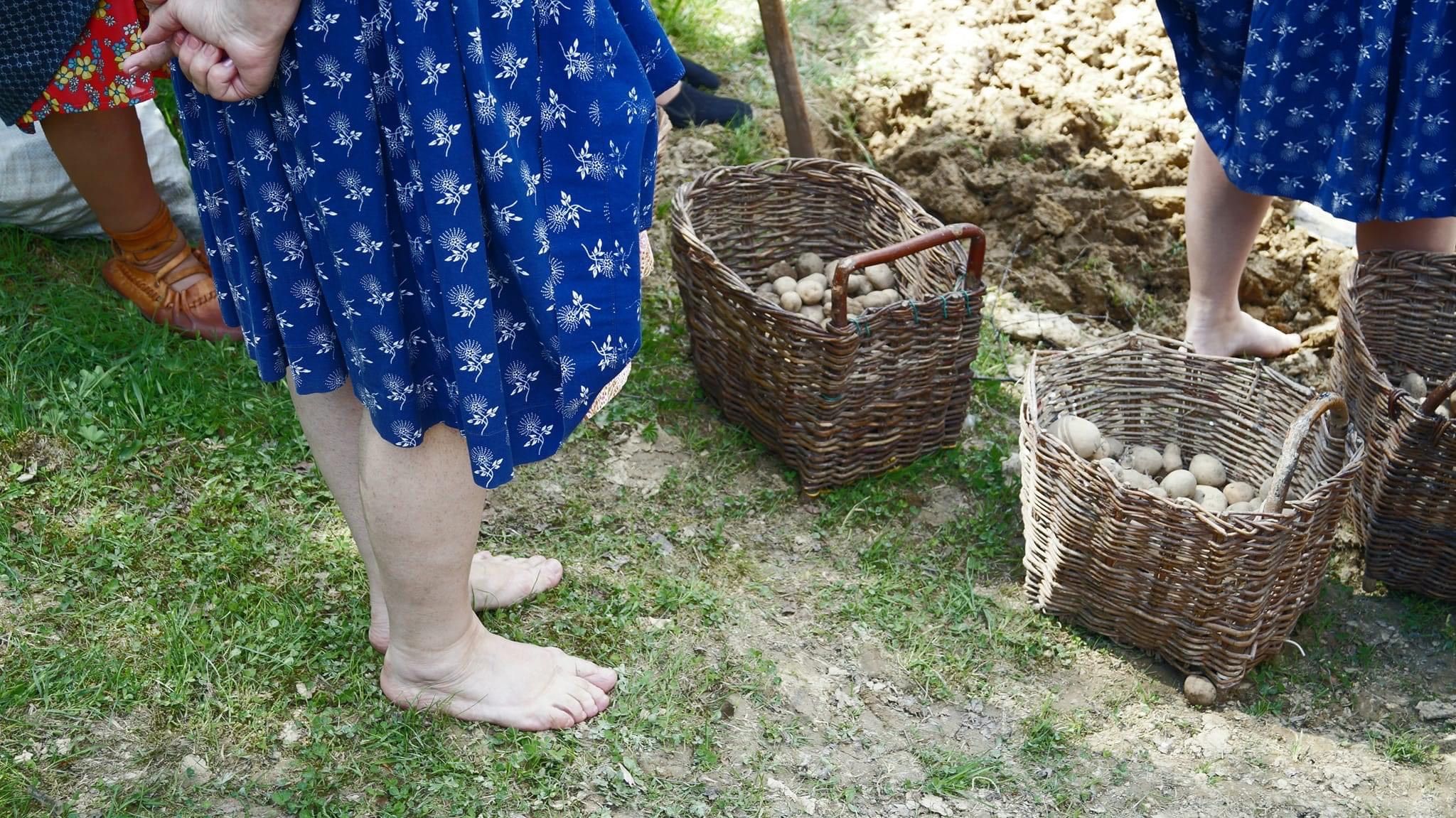 IMG_9900.jpg
