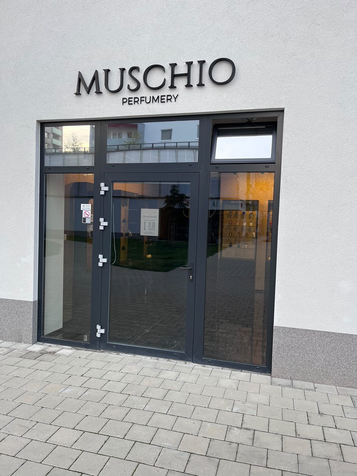 Muschio.jpeg